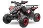 Preview: Nitro Motors Rizzo RS7-A midi Quad 125cc 7 Zoll Automatik + RG Kinderquad Atv Platin Line