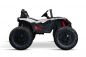 Preview: Elektro Kinderauto Big Wheel Beach 2-Sitzer Allrad 24V/10Ah Offroad Buggy