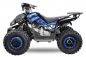 Preview: NITRO MOTORS 125cc midi Kinder Quad Rizzo RS8-A Platin