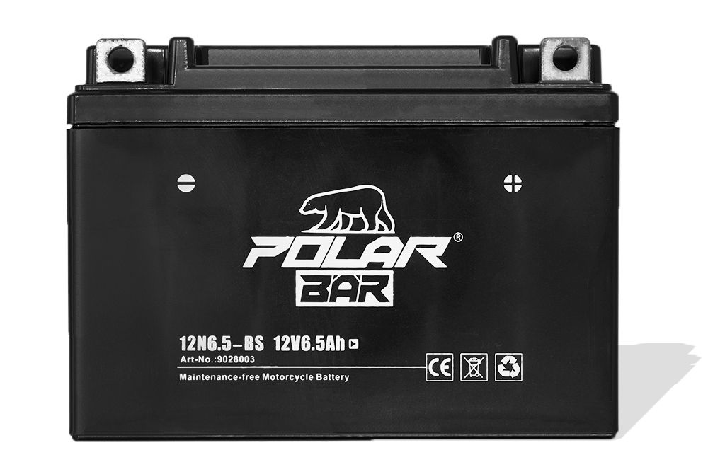 Polar Bär AGM Batterie YTX 14-BS 12V 14Ah Starterbatterie inkl. Säurepack